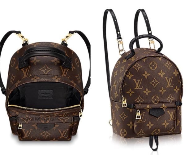 Louis Vuitton Palm Springs Backpack Review - Best Backpack