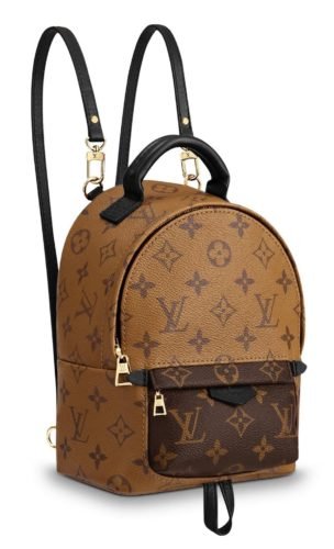 Louis Vuitton Palm Springs Backpack Review - Best Backpack