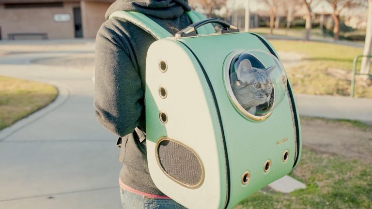 The 10 Best Cat Backpacks - Bestbackpack